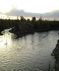 Photo 2 - Project 2- Fluvial Flood Risk in Ahscragh Ballinasloe Galway - HydroS Engineering Hydrology Consultants